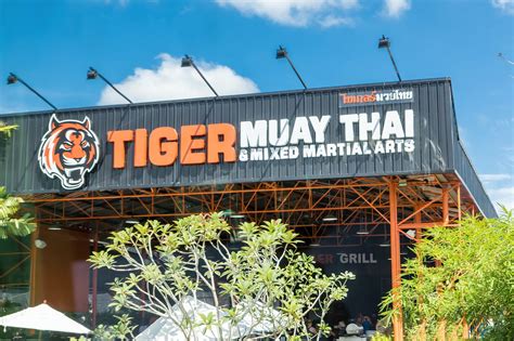 tiger muay thai thailand